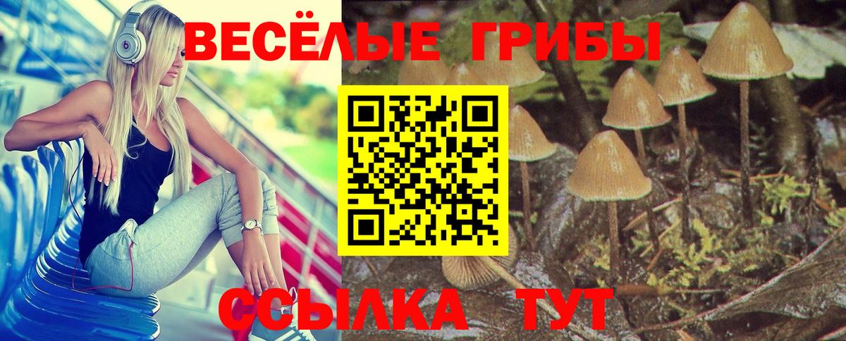 Галлюциногенные грибы Psilocybe  Вход с VPN  Нижний Новгород 